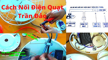 Cách Nối Nguồn Điện Cho Quạt Trần Đảo Senko TD105 Tự Làm Ở Nhà
