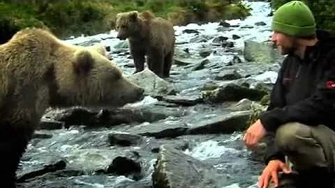 ALONE AMONG GRIZZLIES