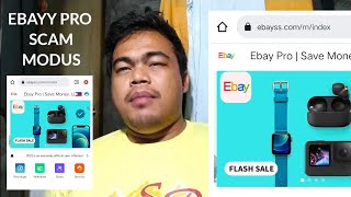 ebay pro scam modus operande screenshot 3