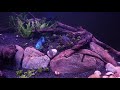 300 Gallon Aquascape Project - Part 5