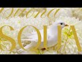 UN MIRACOLO DI PACE - video augurale di Pasqua #UnMiracoloDiPace #buonapasqua #ColombaPace