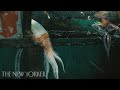 The Brutal Reality of China’s Fishermen | Squid Fleet | The New Yorker Documentary