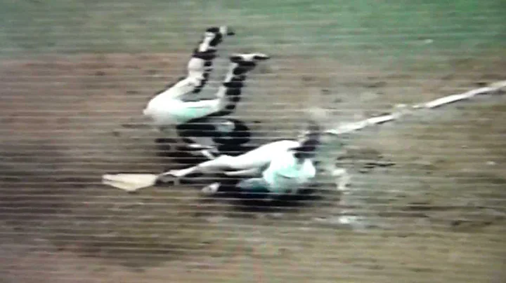 Bob Horner Runs Over Ron Hodges At Home Plate