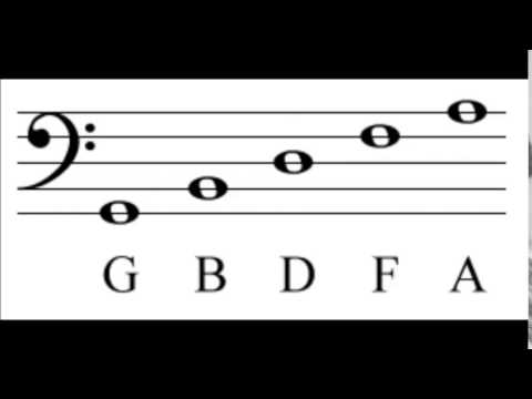 bass staff