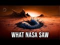 You wont believe what nasa found on mars