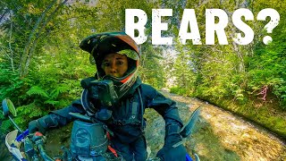 I hope there are no bears in this Canadian forest  |S6-E126|