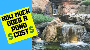 Are backyard ponds worth it?