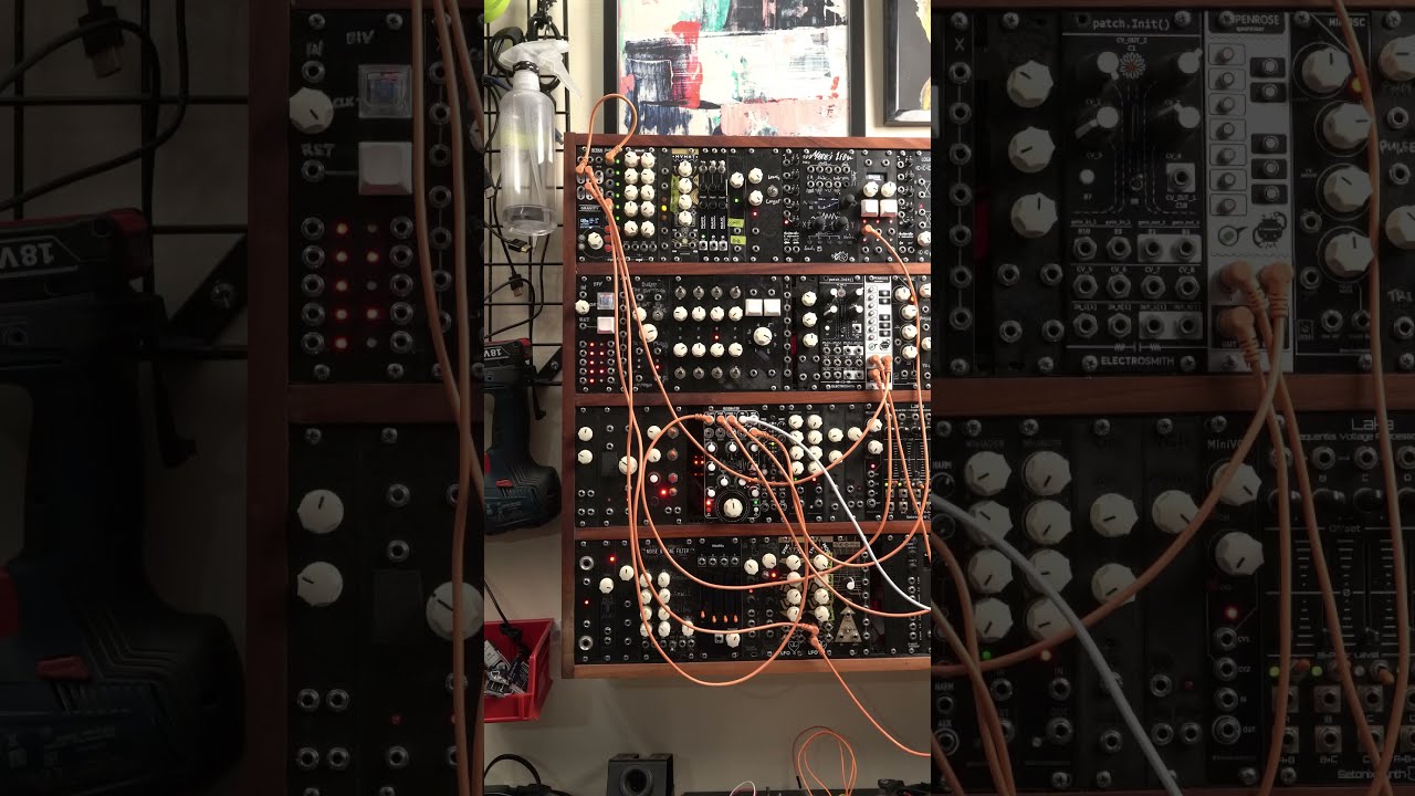 MUTABLE INSTRUMENTS Rings クローン Rangoon - Mutable Rings clone with sliders - Matte Black