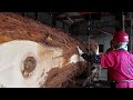 ＃48【製材】鯉のぼり杉　大きな目玉に煌めく鱗！！！　樹齢200年・全長6m超・重さ3トン