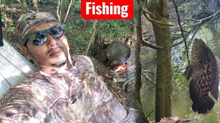 Pulling Fish Trap & Catching BIG Jaguar Cichlids! 🔥 Tilapia Fishing + Bush Cooking in Jamaica 🇯🇲
