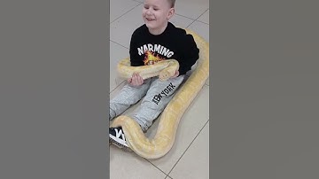 У мальчика большая игрушка)) ДЖУНГЛИ ПАРК #zoo #snake #змея #python