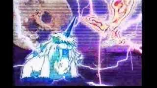 CM　バンダイ　デジモンアドベンチャー　アノード＆カソードテイマー (WS)