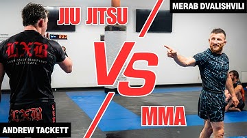 UFC BJJ Champion vs MMA Champion | Training Vlog with Merab Dvalishvili