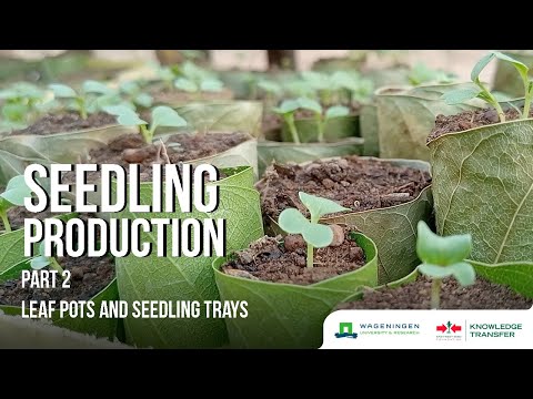 Video: DIY Seedling Containers. Part 3