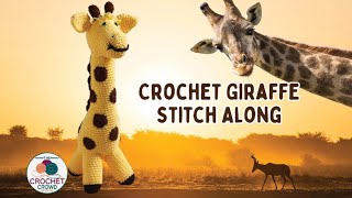 Left Hand: How to Crochet Easy Red Heart Giraffe Plush (Amigurumi)