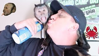 Monkeyboo Has The Krabby Patty Formula New Pets