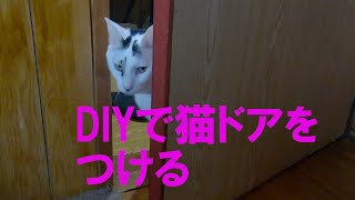 DIYで猫ドア　＃021