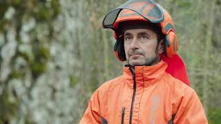 Rebâtir Notre-Dame - Épisode 1 Coupe De Chênes En Forêt Communale Lavallée Meuse