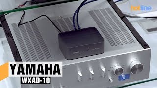 Yamaha WXAD-10 — обзор сетевого стримера