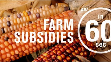 Farm subsidies: How effective are they? | IN 60 SECONDS