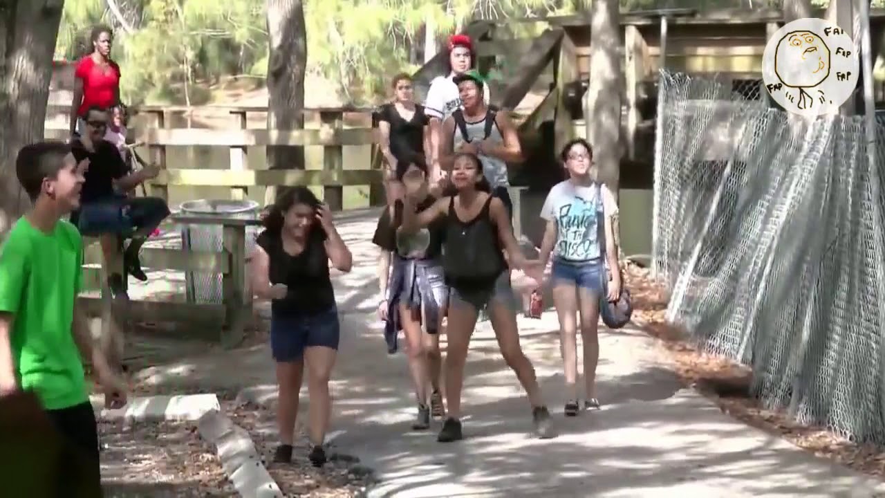 動物画像無料 ベスト50 面白い 動画 海外