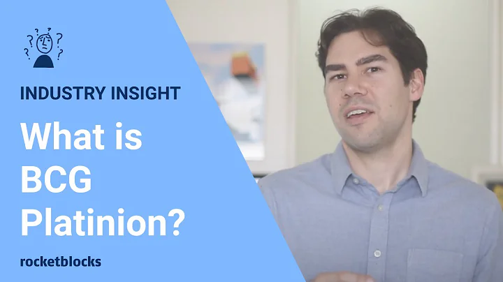 What is BCG Platinion?