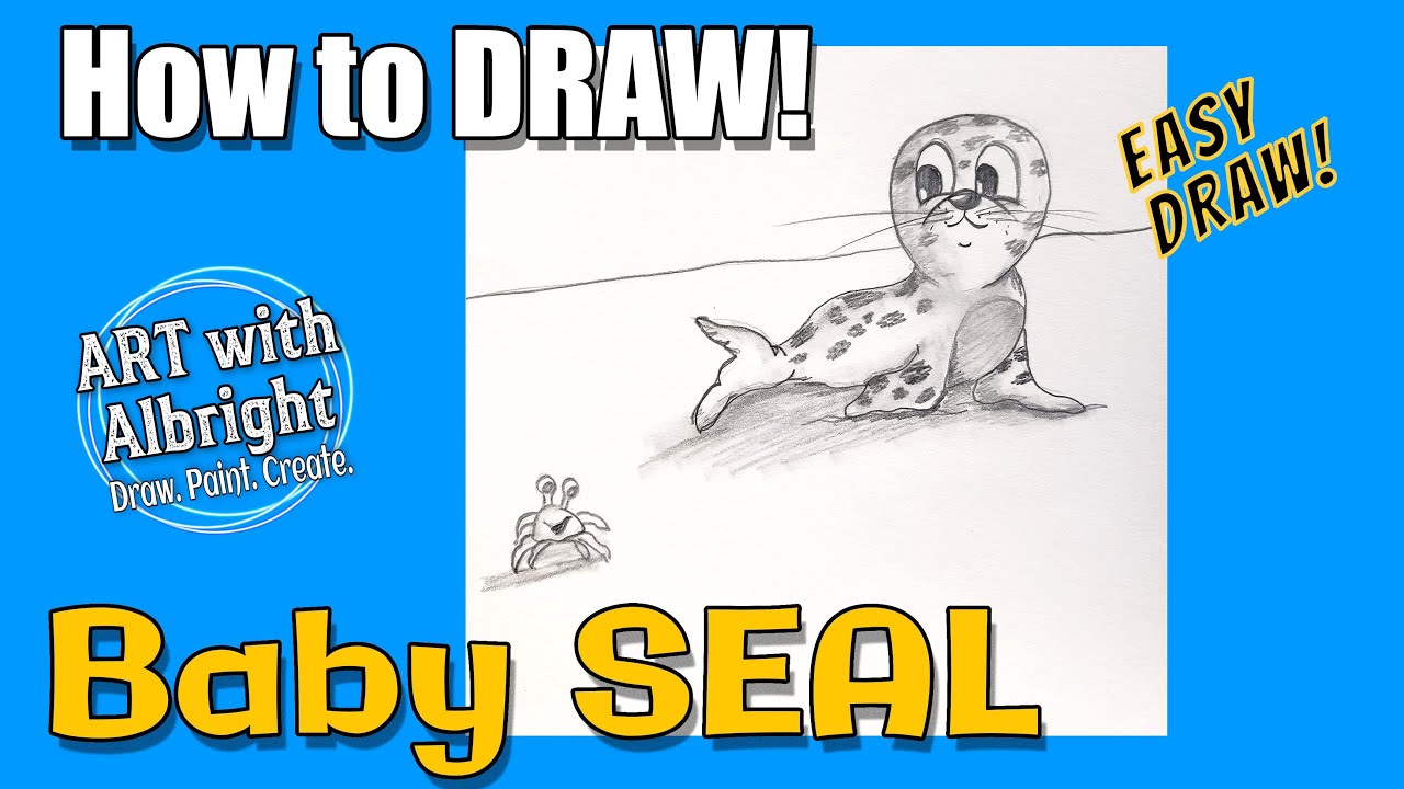 How to Draw BABY SEAL Art with Albright Step by Step YouTube