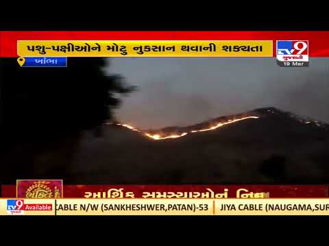 Amreli: Massive fire breaks out in forest area of Khambha| TV9News