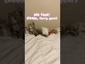 Bed tour!