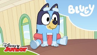 ⁣🤣 Bobo wyścig | Blue | Disney Junior Polska