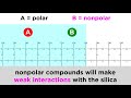 Thin Layer Chromatography (TLC)