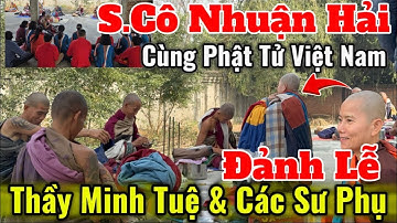 Sư Cô Nhuận Hải & Các Phật Tử Việt Nam Trò Chuyện Cùng Thầy Minh Tuệ | Chào Thầy Về Việt Nam 🇻🇳 