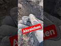Schon wieder Abzeichen beim #Sondeln #metaldetecting #Deus2 #schatzsuche