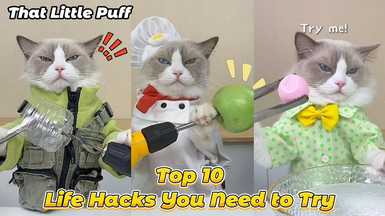 Top 10 Life Hacks You Need to Try🫵| That Little Puff