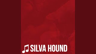 Video thumbnail of "Silva Hound - Addict"