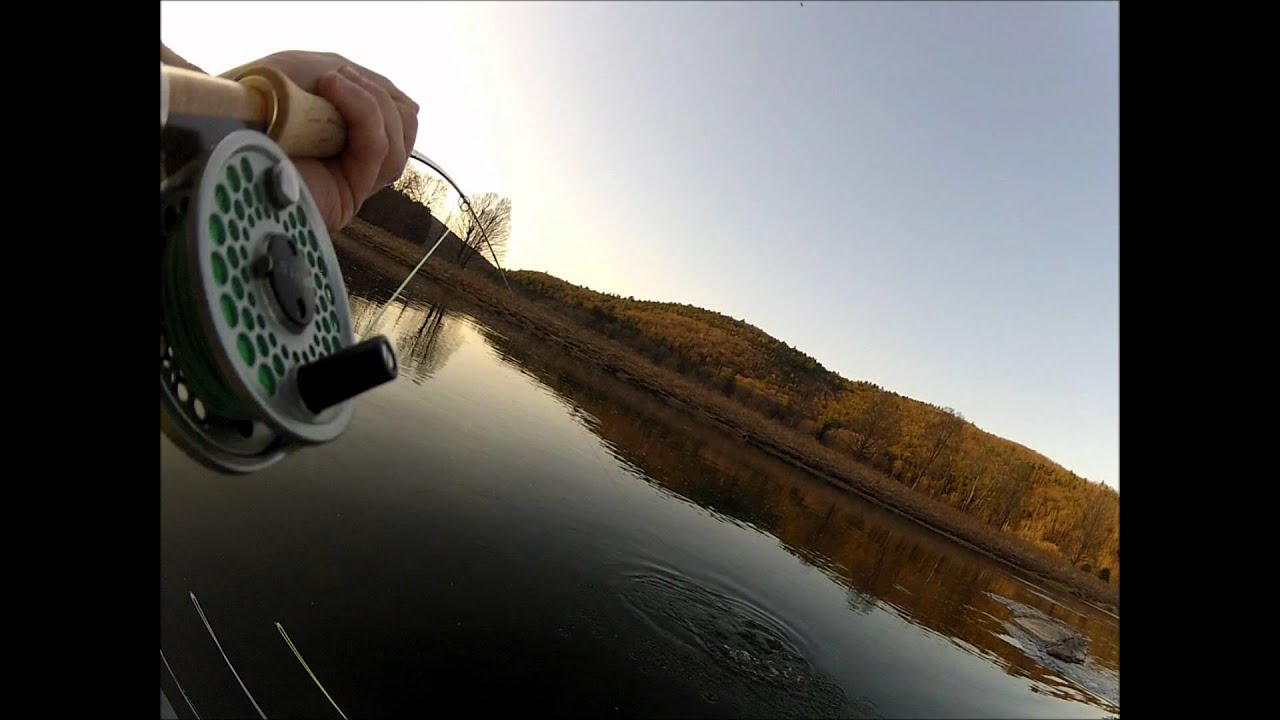 Fly Fishing the Delaware River for big browns! YouTube