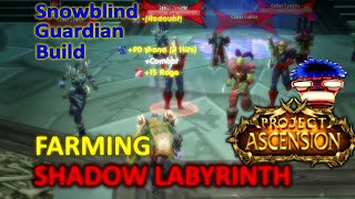 Shadow Labyrinth Solo Farm @70 Using Snowblind Guardian - Wow Ascension