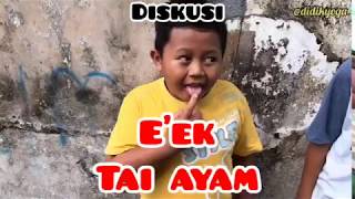 Download Lagu Diskusi tai ayam MP3