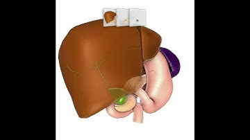Hybrid Visibility Compositing and Masking for Illustrative Rendering (3)