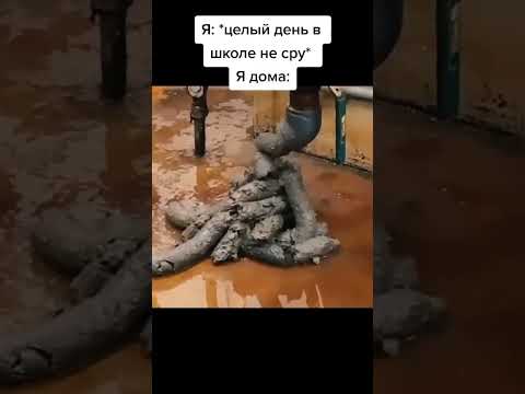 мем из тик тока #мемы #юмор #шутка #прикол #ржака #смех #смешно #тикток #жиза #shorts