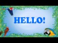 Teach your parrot to say hello