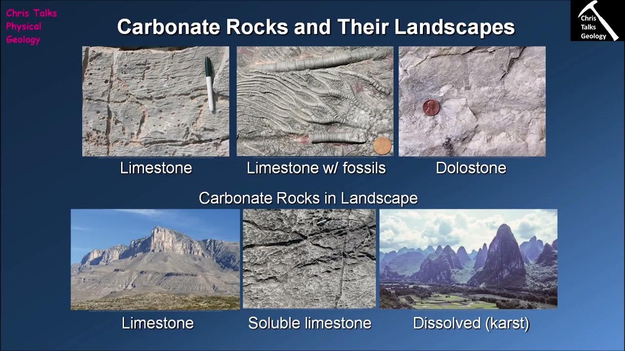 Carbonate Rocks – Geology is the Way