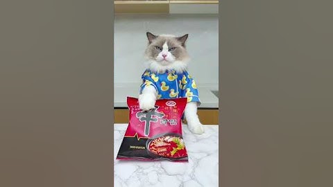 How I make ramen again😱 #shorts #thatlittlepuff #shinramen