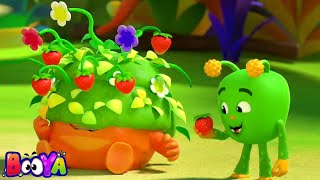 The Seed Cartoon and Funny Animated Videos for Children