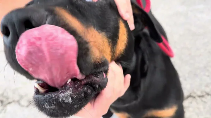 A2047962 Brock and A2047457 Matty temp test