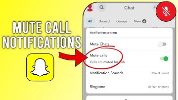 How to Mute Call Notifications on Snapchat (2024)