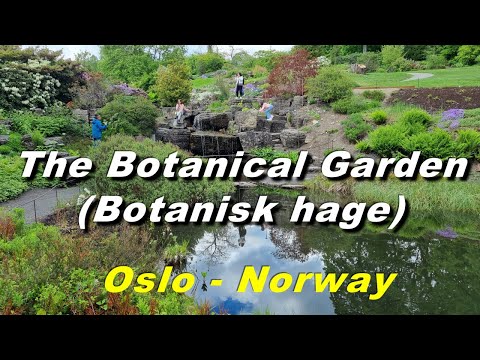 The Botanical Garden (Botanisk hage) ,Oslo (Norway)