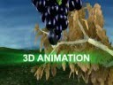 Panchatantra 3D Animation