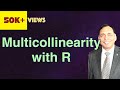 Multicollinearity with R
