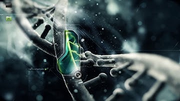 How To Install Archman OS